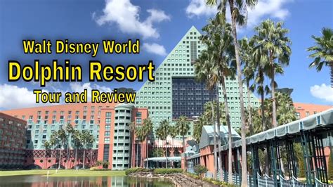 Dolphin Hotel : Reviews, Deals & Photos 2024 .